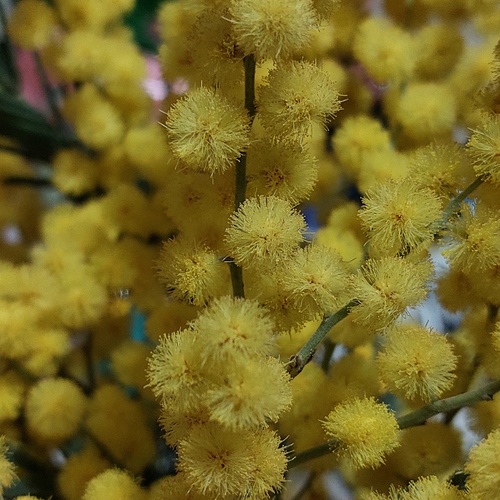 Photo #13797753