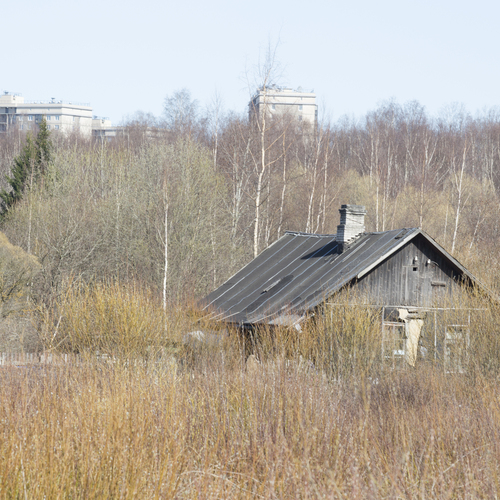 Photo #13797958