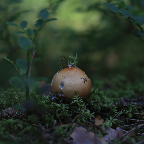 Photo #13798031