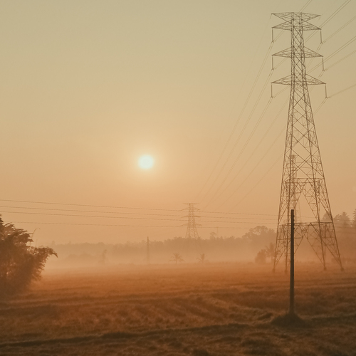 Photo #13798069