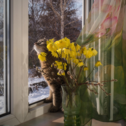 Photo #13798156