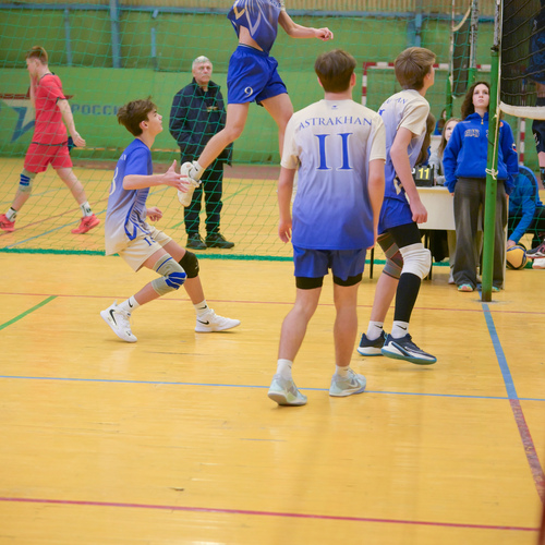 Photo #13798206