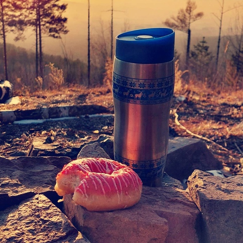 Photo #13798645