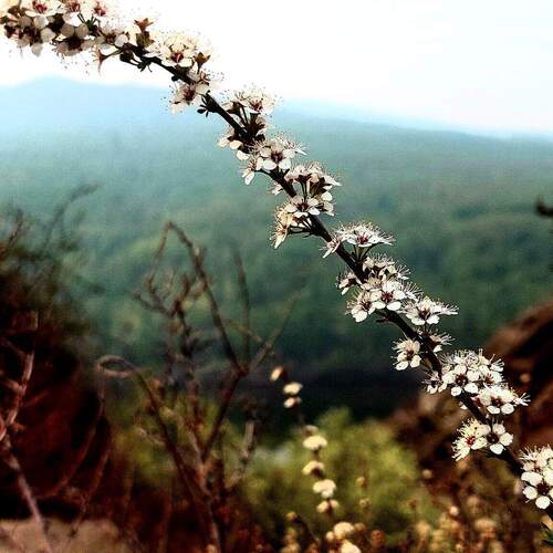 Photo #13798646