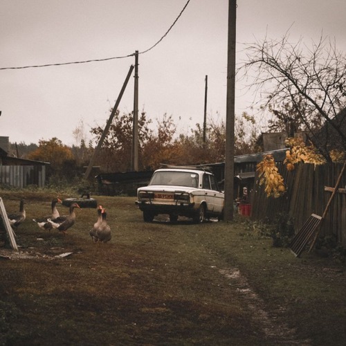 Photo #13798814
