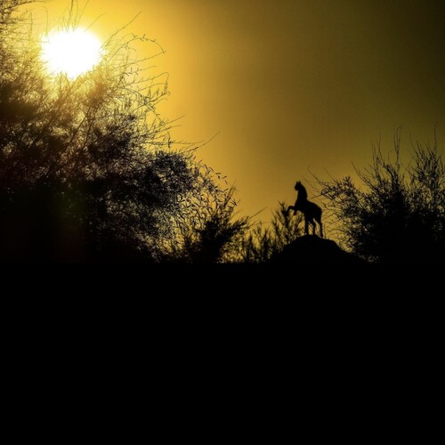 Photo #13798837