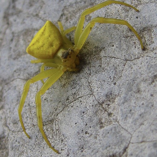 Photo #13798839
