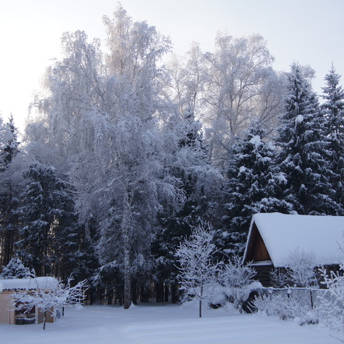 Photo #13798848