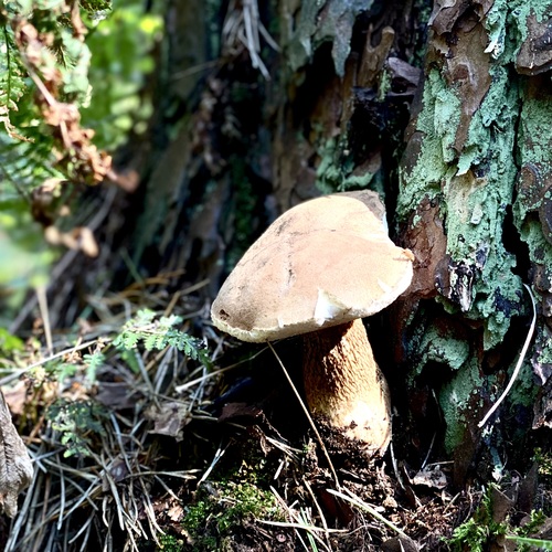 Photo #13798851