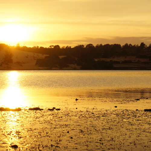 Photo #13798879