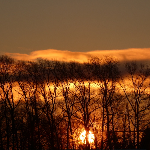 Photo #13798955