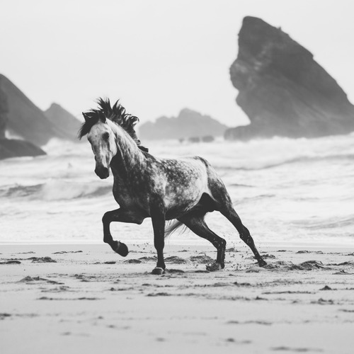 Photo #13799034
