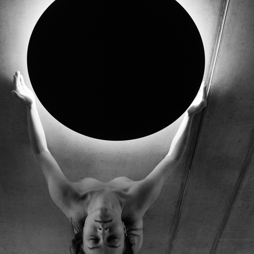 BLACK GLOBE