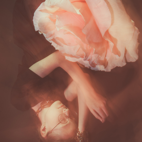 Photo #13799432