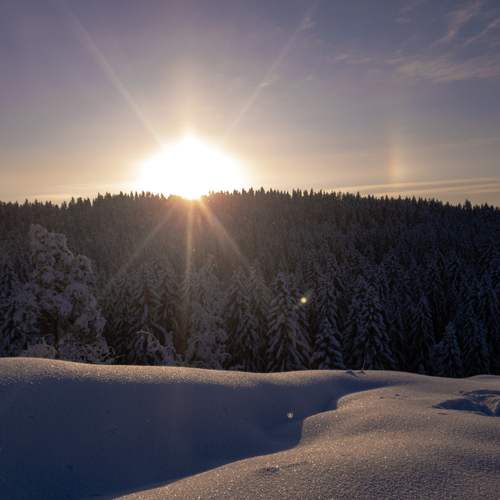 Photo #13799448