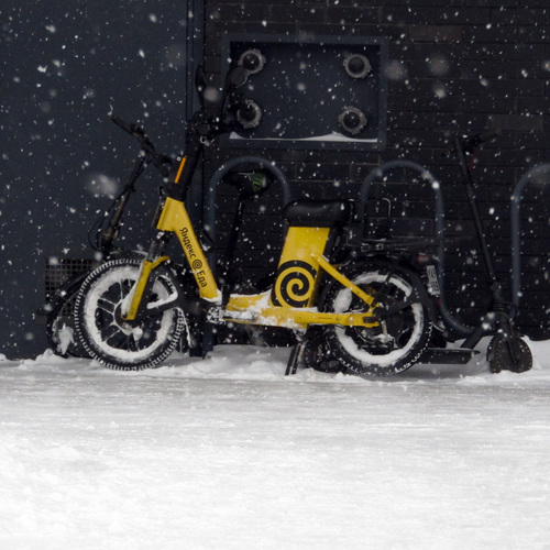 Photo #13799513