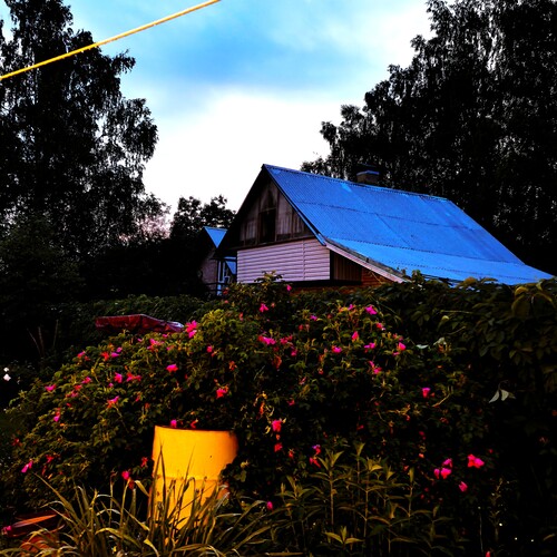 Photo #13799544