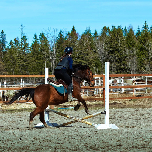 Photo #13799596