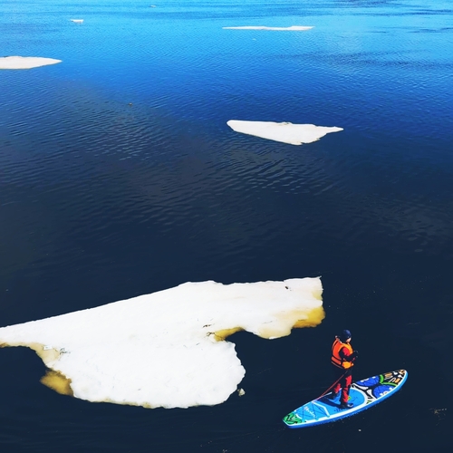 Photo #13799599