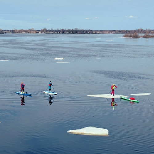 Photo #13799602