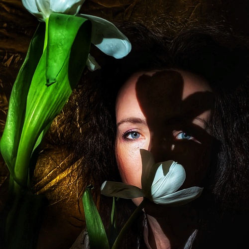 Photo #13799630