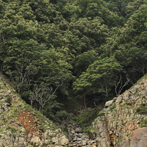 Photo #13799649