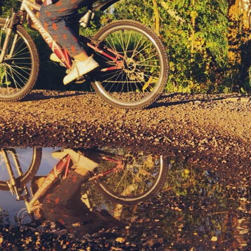 Photo #13799656