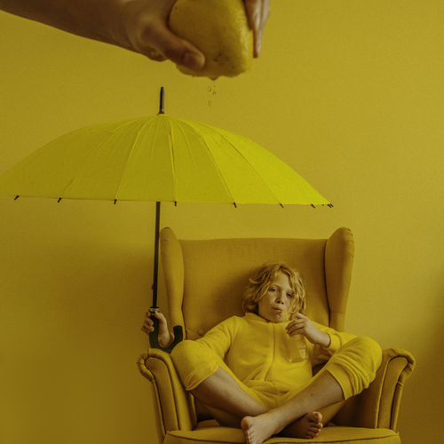 Photo #13799679