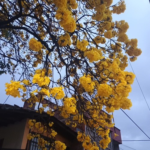 Photo #13799729