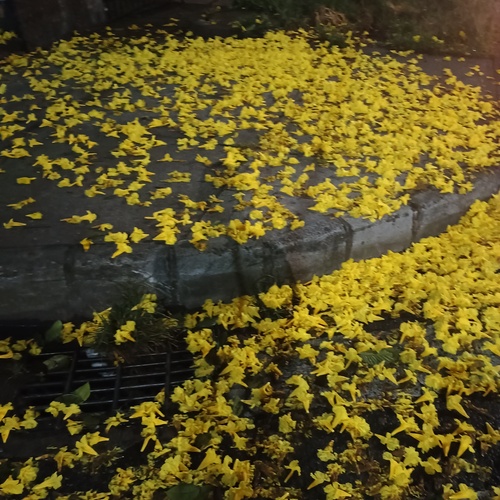 Photo #13799731