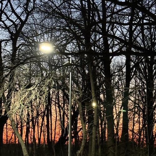 Photo #13799755