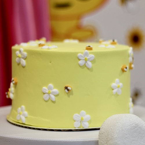 Photo #13799808