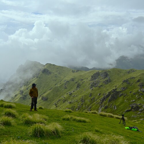 Photo #13799877