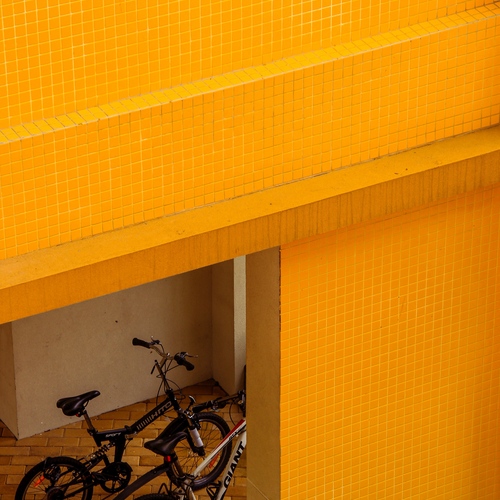 Photo #13799934