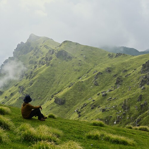Photo #13799997