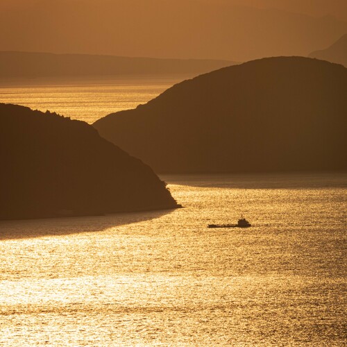 Photo #13799998