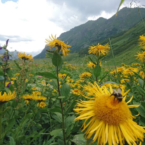 Photo #1381924