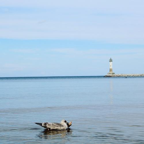 Ладога
