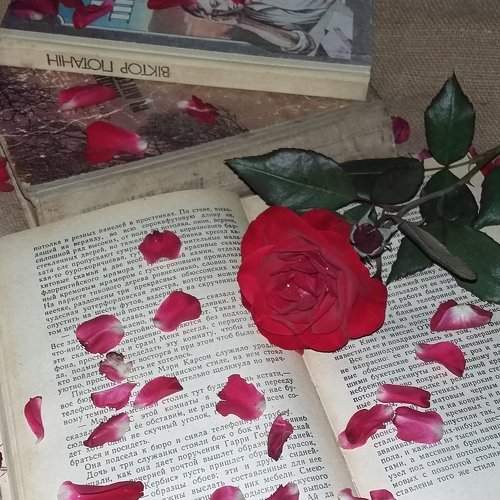 Photo #1384790