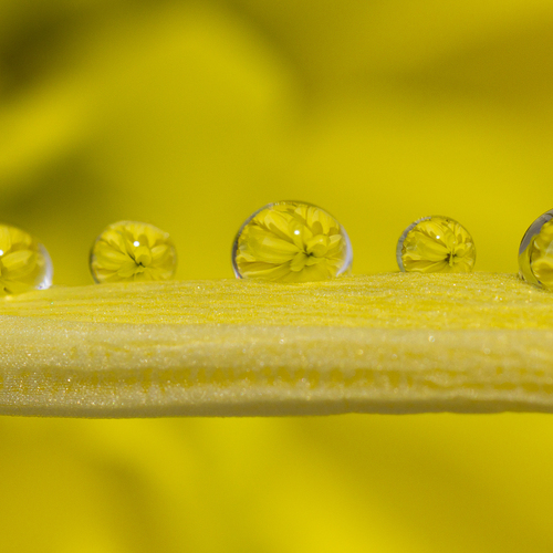 Photo #13800007
