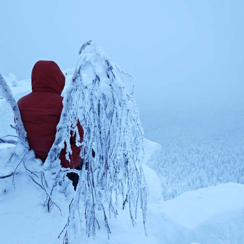 Photo #13800126
