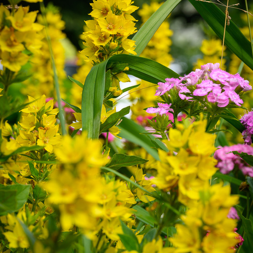Photo #13800167