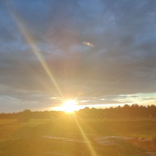 Photo #13800203