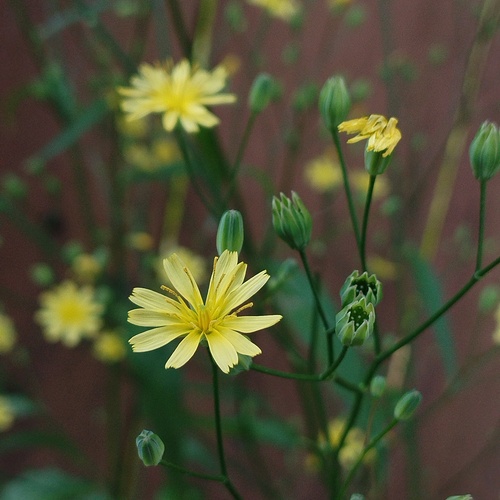 Photo #13800219