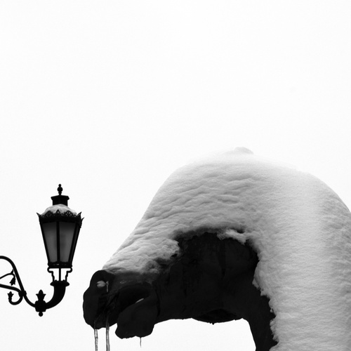 Photo #13800288