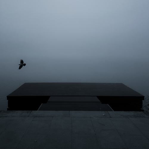 Photo #13800310