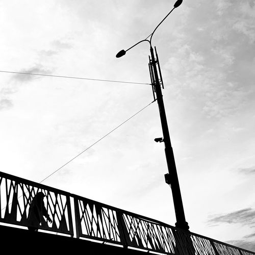 Photo #13800311