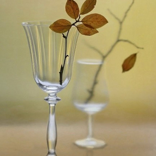 Photo #13800412