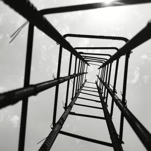 Photo #13800446