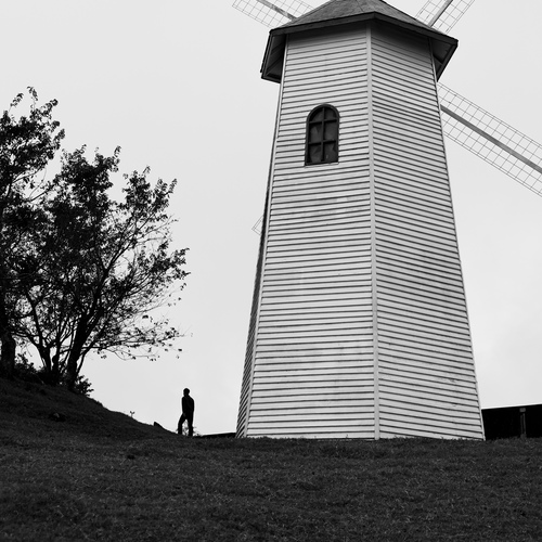 Photo #13800475